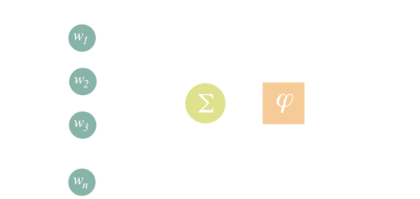 Neural Network